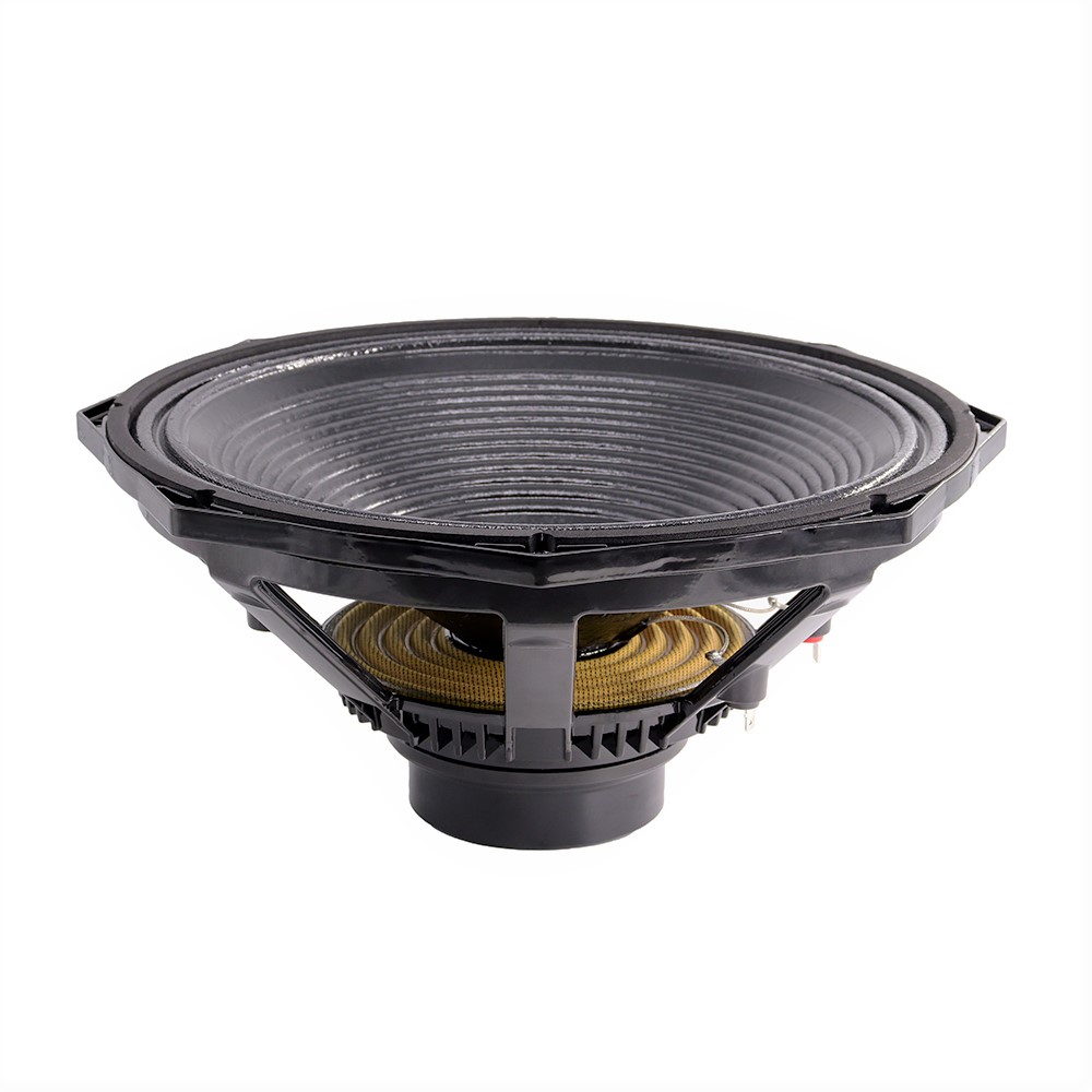 Professionelles Audio 600W 15  – Speakers Bewertung und Preis